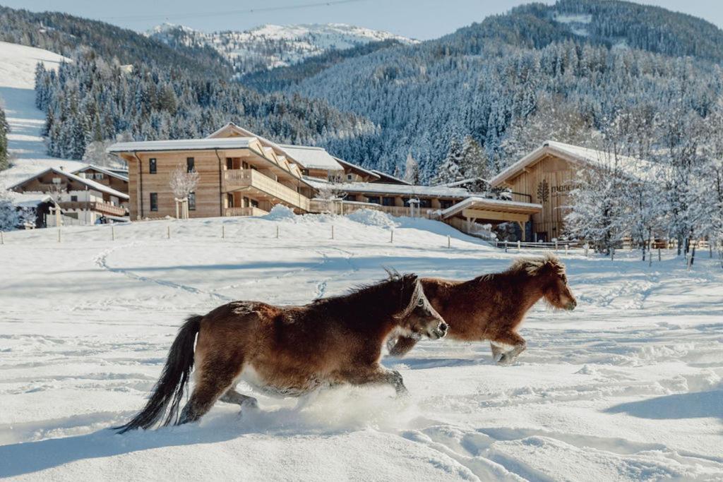 Mariengut - Natur Aparthotel Kramer Wagrain Exterior photo