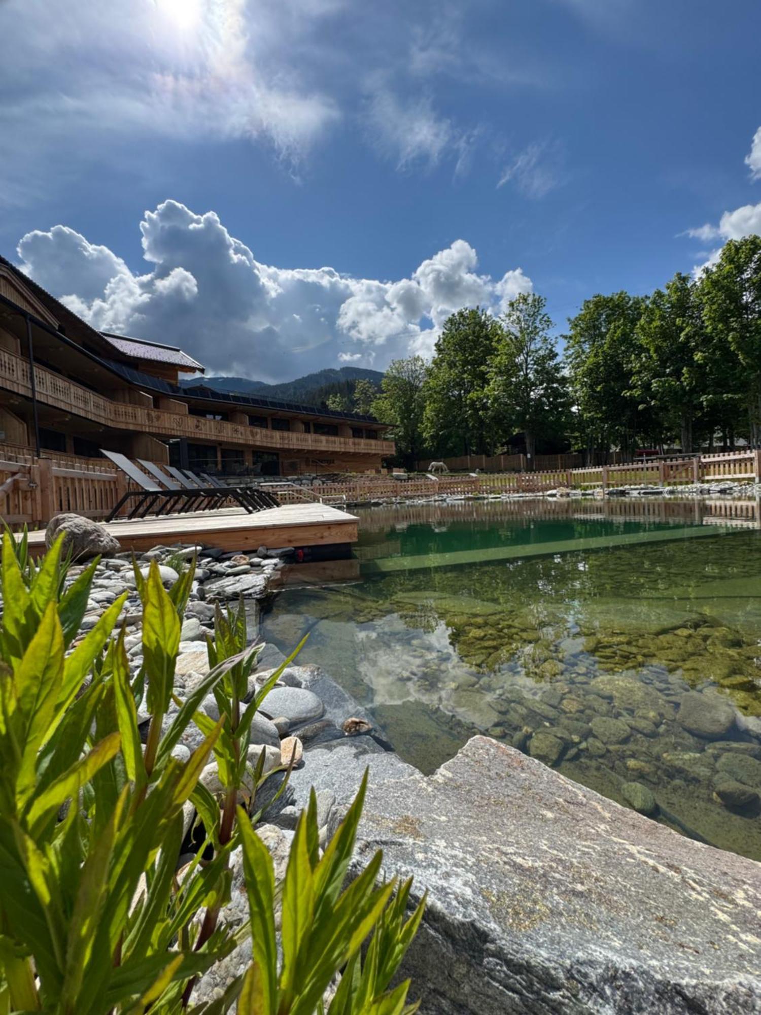 Mariengut - Natur Aparthotel Kramer Wagrain Exterior photo