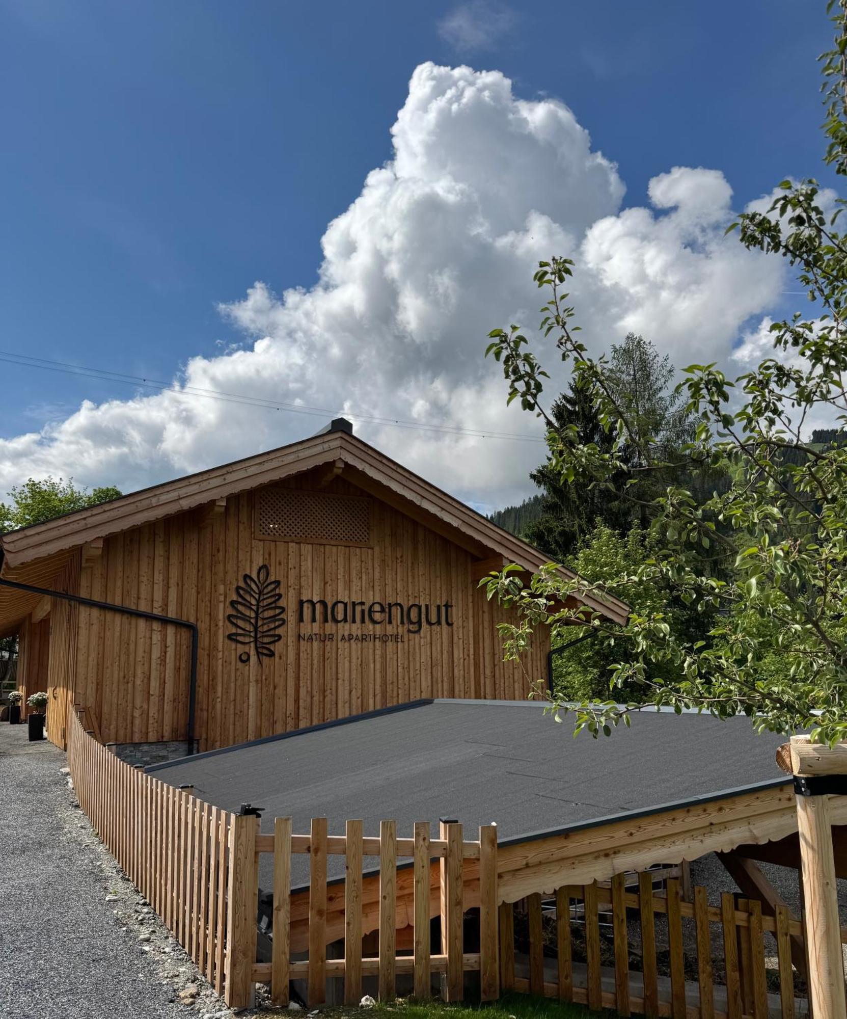 Mariengut - Natur Aparthotel Kramer Wagrain Exterior photo